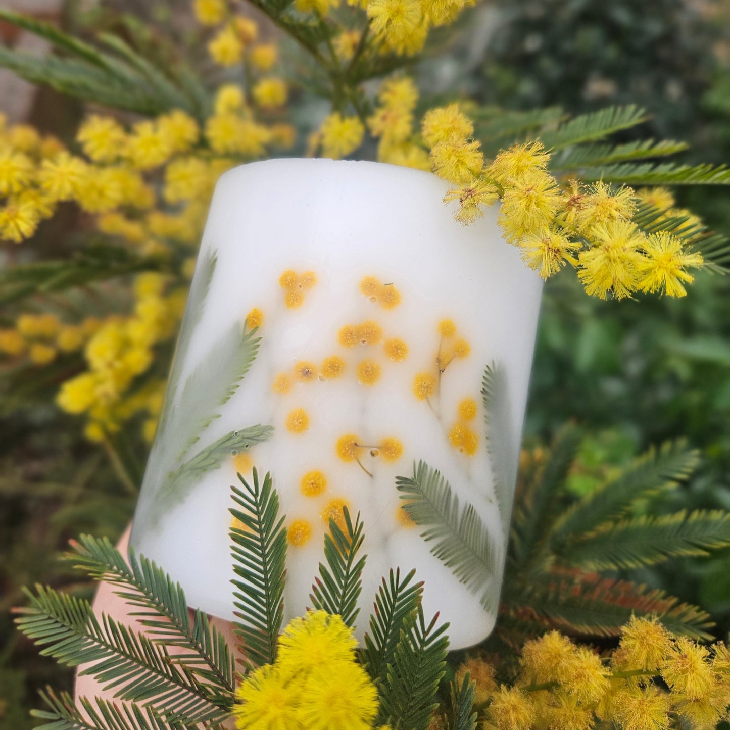 Mimosa Candle
