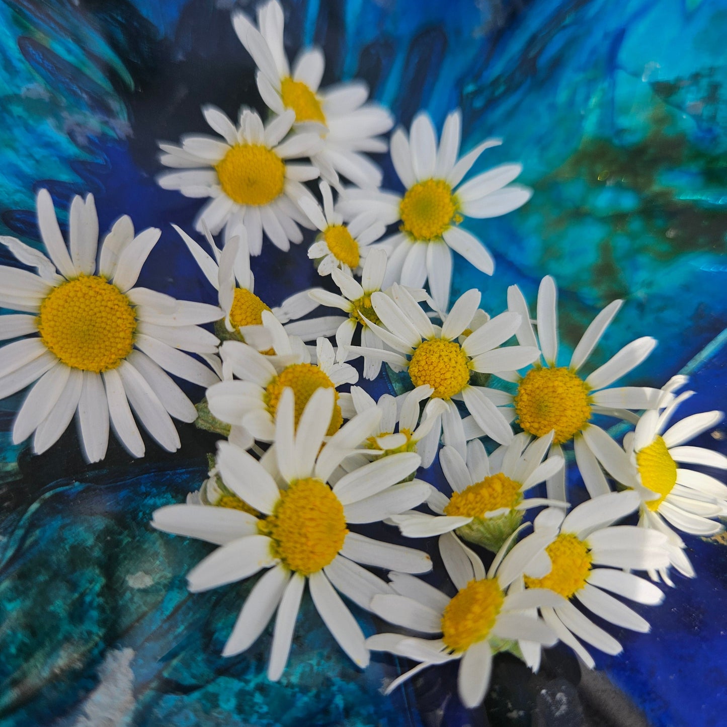 Extra Gentle Chamomile Soap
