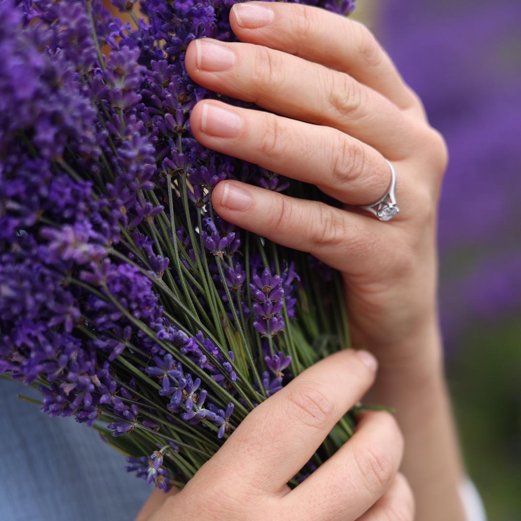 Lavender Botanical Candle